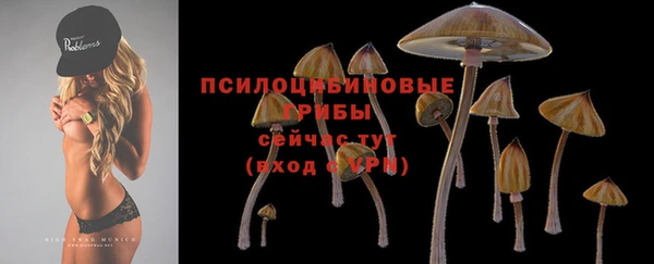 крисы Алзамай