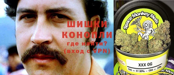 бошки Алексин