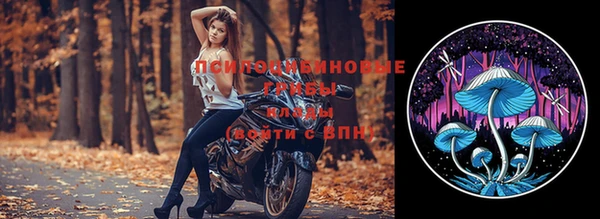 бошки Алексин