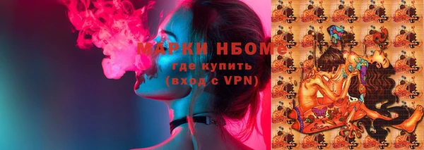 бошки Алексин